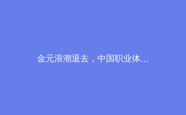 金元浪潮退去，中国职业体育的理性回归与价值重塑 - 3